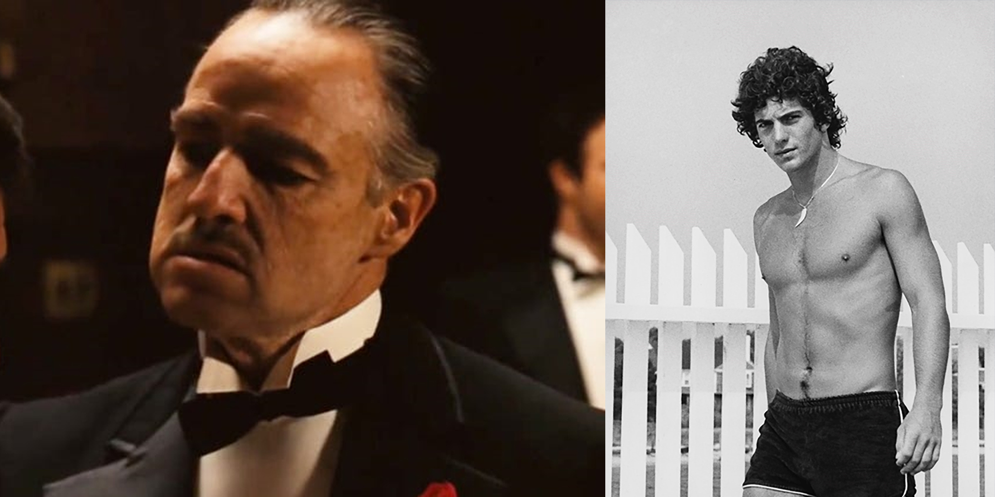 Who is Marlon Brando, The Godfather?